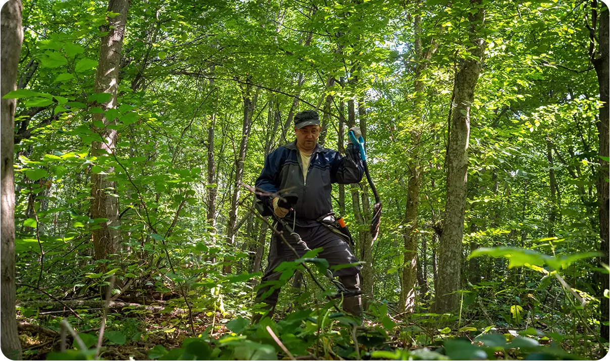 Sustainable Trail Maintenance: A Guide for Recreational Property Owners