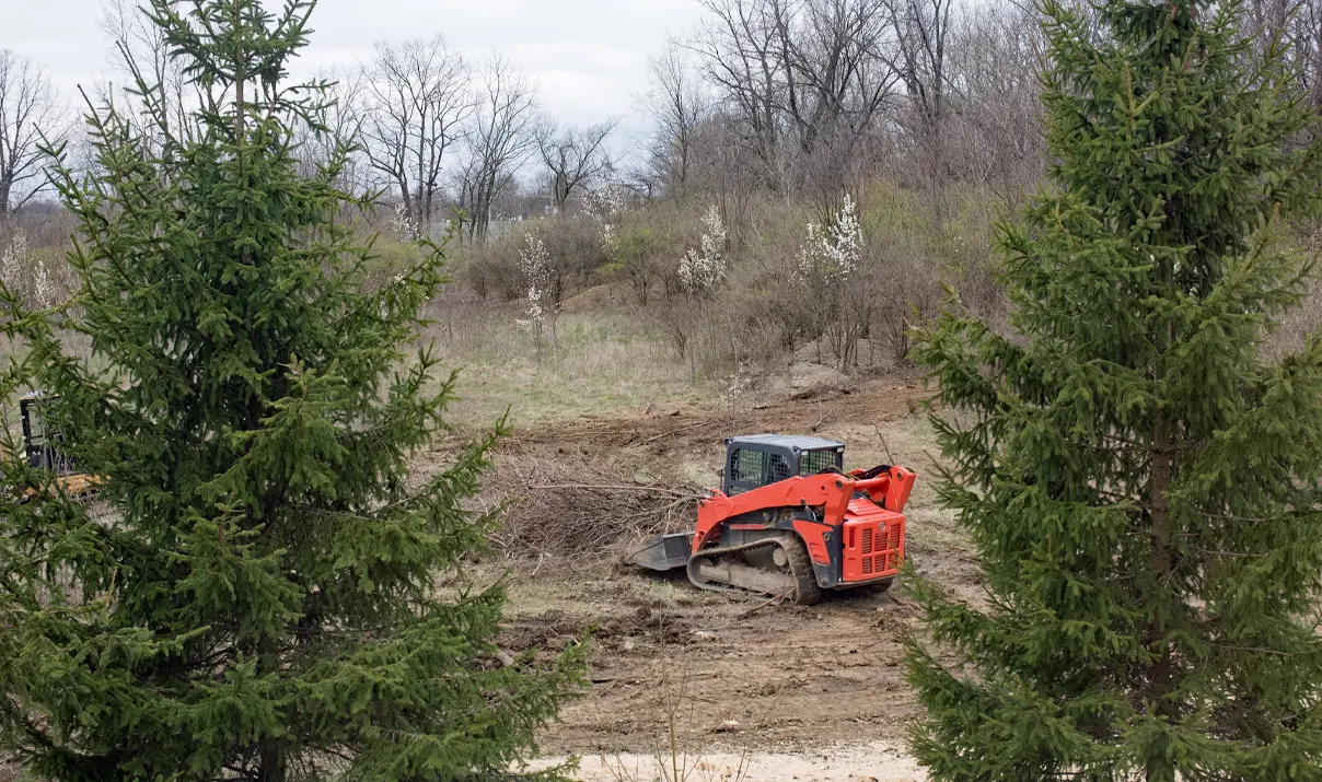 Maximizing Your Land’s Potential with Integrated Management Services