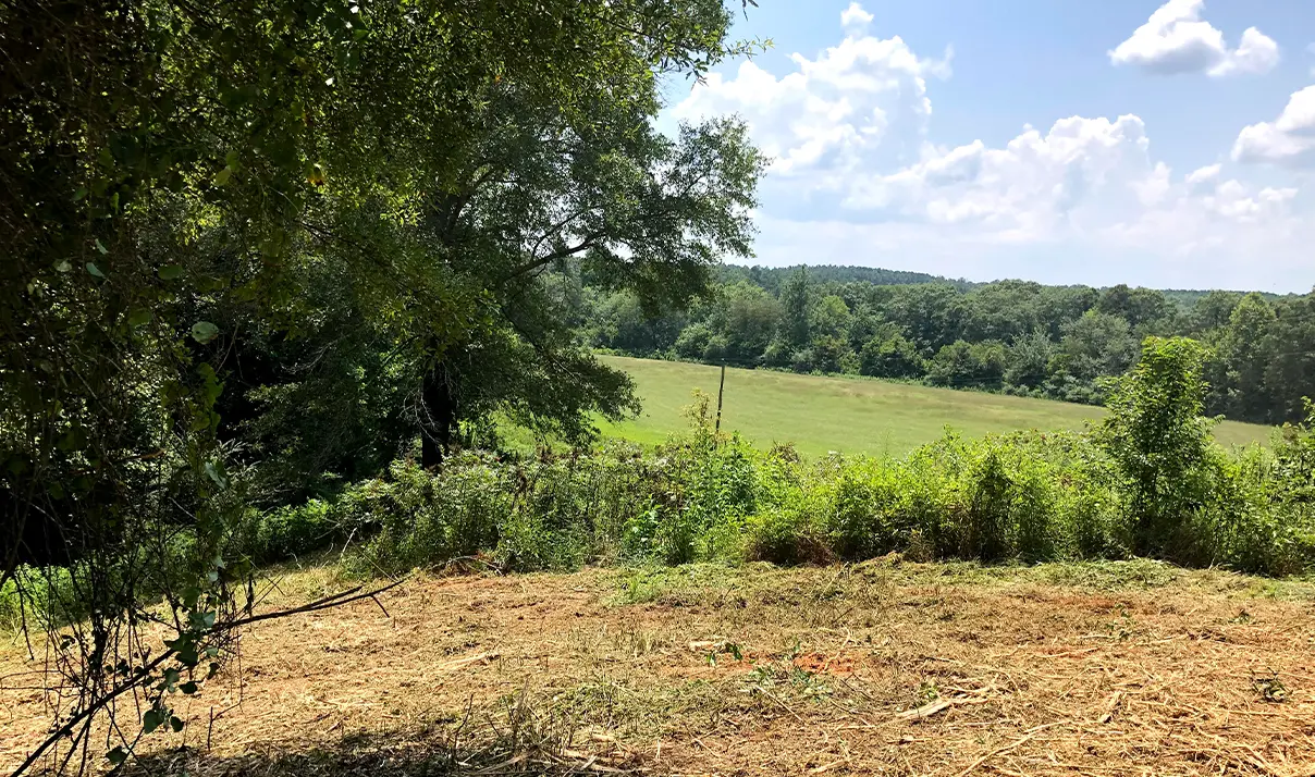 Municipal & Government