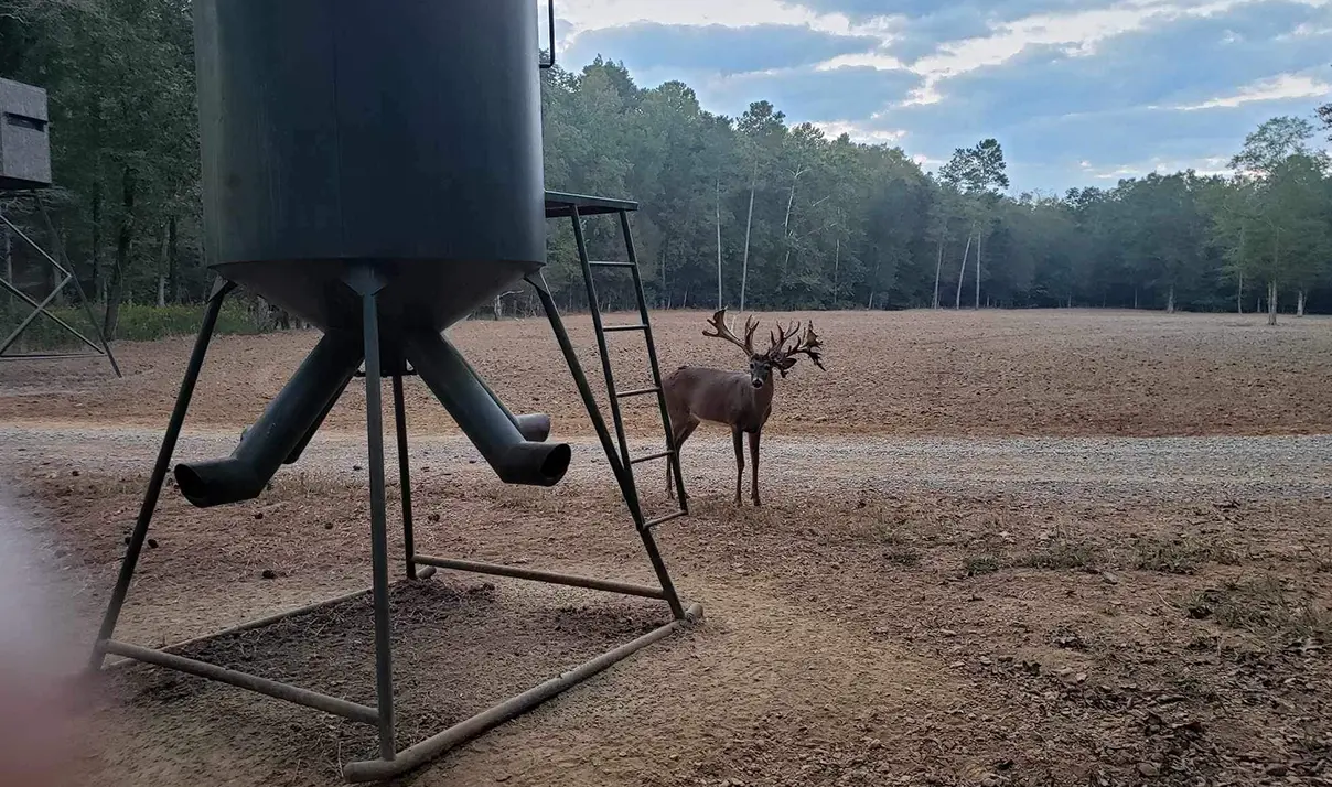 Recreational Land Management