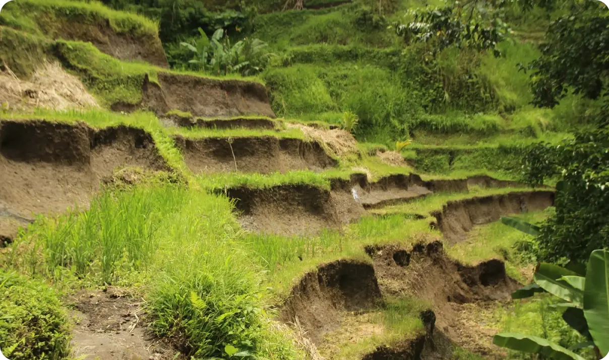 Emerging Trends in Land Management to Watch in the Southeast