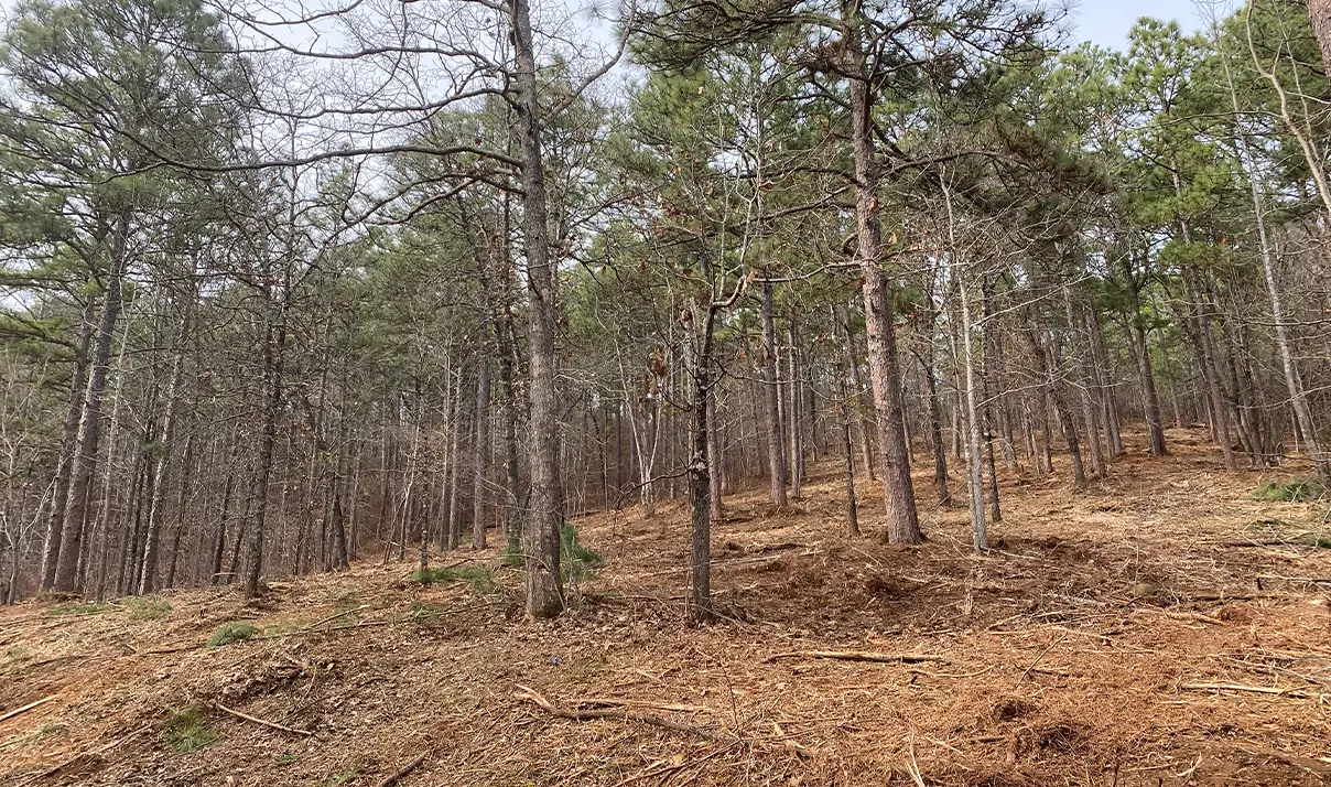 Utility & Storm Recovery